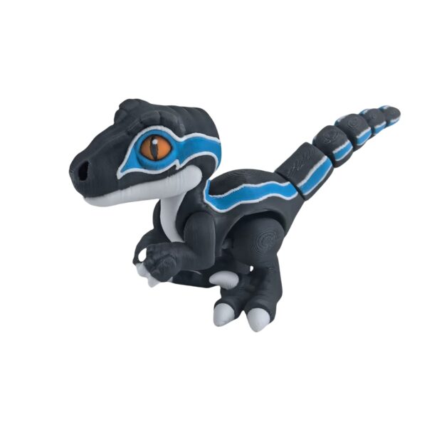 Shadow Raptor